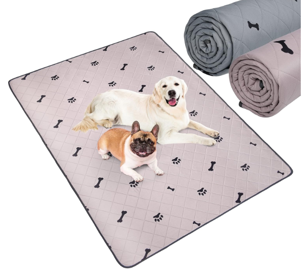 フレブル お迎え準備